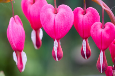 Similar image 8362063