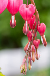 Similar image 8362064