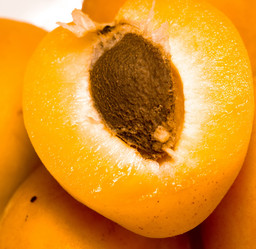 Similar image 8362077