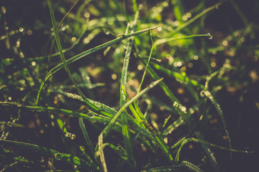 Similar image 8362083