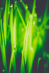 Similar image 8362084