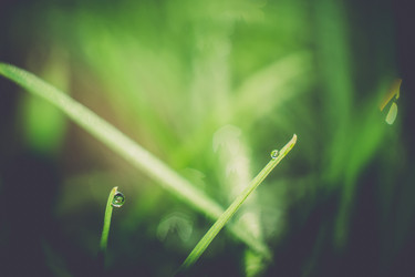 Similar image 8362085