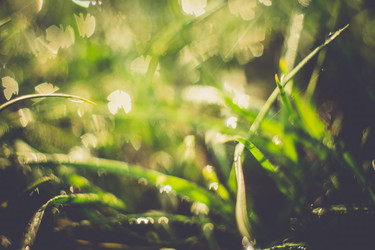 Similar image 8362088