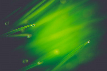 Similar image 8362090