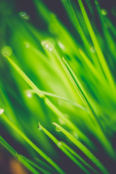 Similar image 8362096