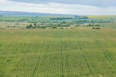 Similar image 8362113