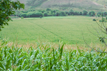 Similar image 8362115