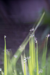 Similar image 8362133