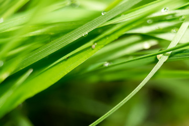 Similar image 8362138