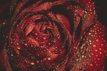 Similar image 8362152