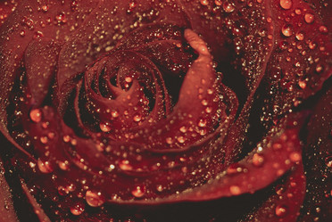 Similar image 8362156