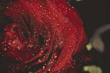 Similar image 8362160