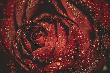 Similar image 8362163