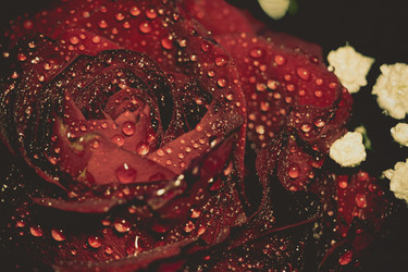 Similar image 8362164