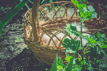 Similar image 8362169