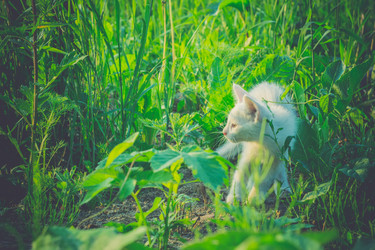 Similar image 8362170