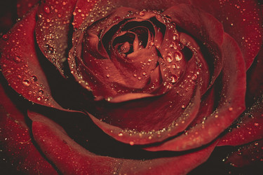 Similar image 8362171