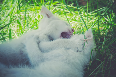 Similar image 8362180