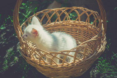 Similar image 8362187