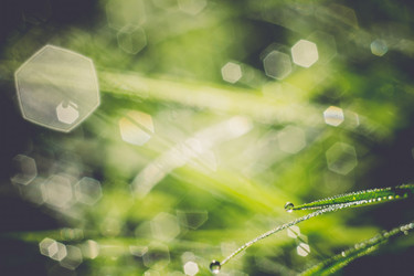 Similar image 8362193