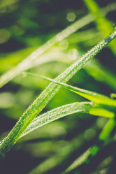 Similar image 8362194