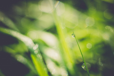 Similar image 8362197