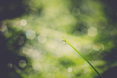 Similar image 8362198