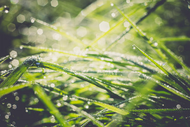 Similar image 8362199