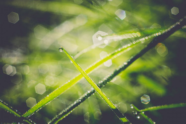 Similar image 8362201