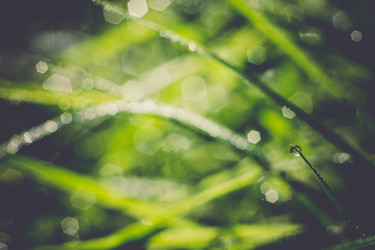 Similar image 8362202