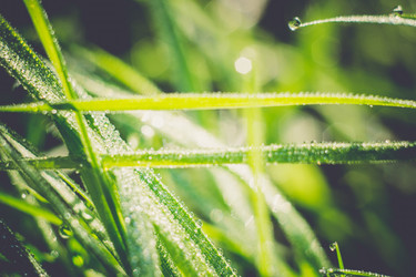 Similar image 8362203