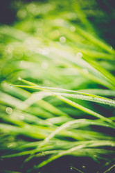 Similar image 8362208