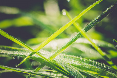 Similar image 8362211