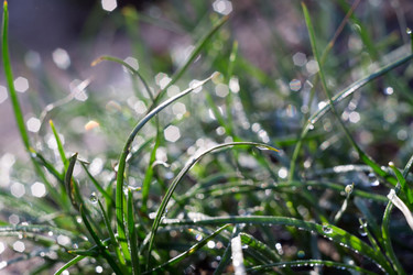 Similar image 8362213