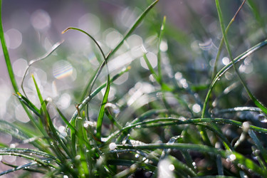 Similar image 8362214