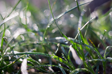 Similar image 8362215