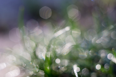 Similar image 8362216