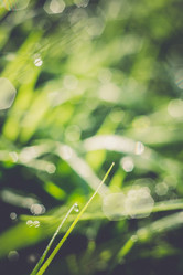 Similar image 8362217