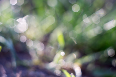 Similar image 8362218