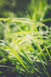 Similar image 8362219