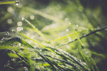 Similar image 8362224