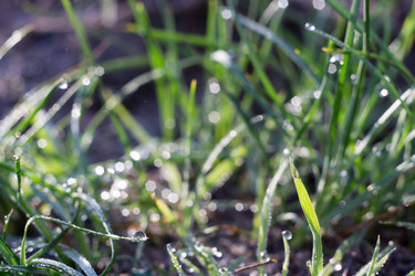 Similar image 8362225