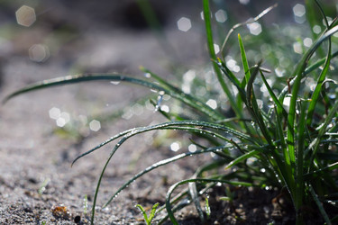 Similar image 8362226