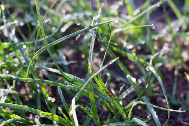 Similar image 8362227