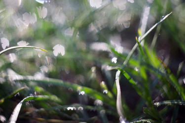 Similar image 8362229