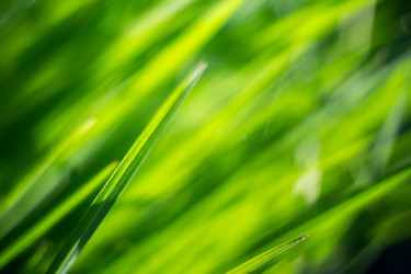 Similar image 8362230