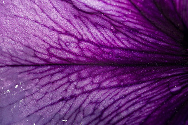 Similar image 8362237