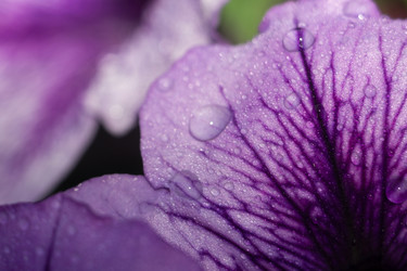 Similar image 8362238