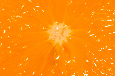 Similar image 8362240