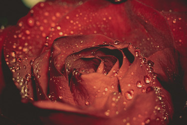 Similar image 8362250